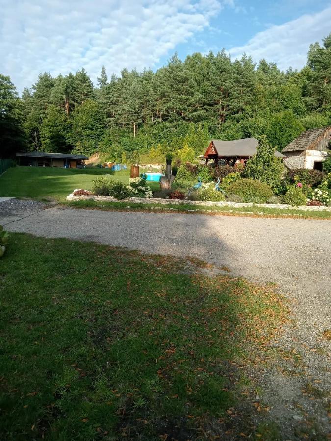 Apartment Lesna Ostoja Borek