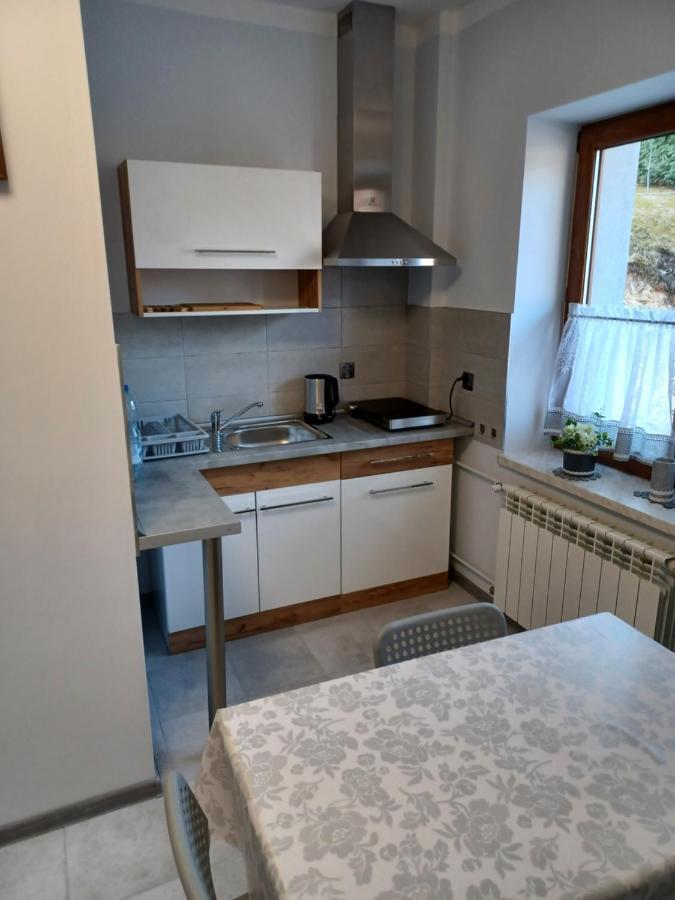 Apartment Lesna Ostoja Borek *