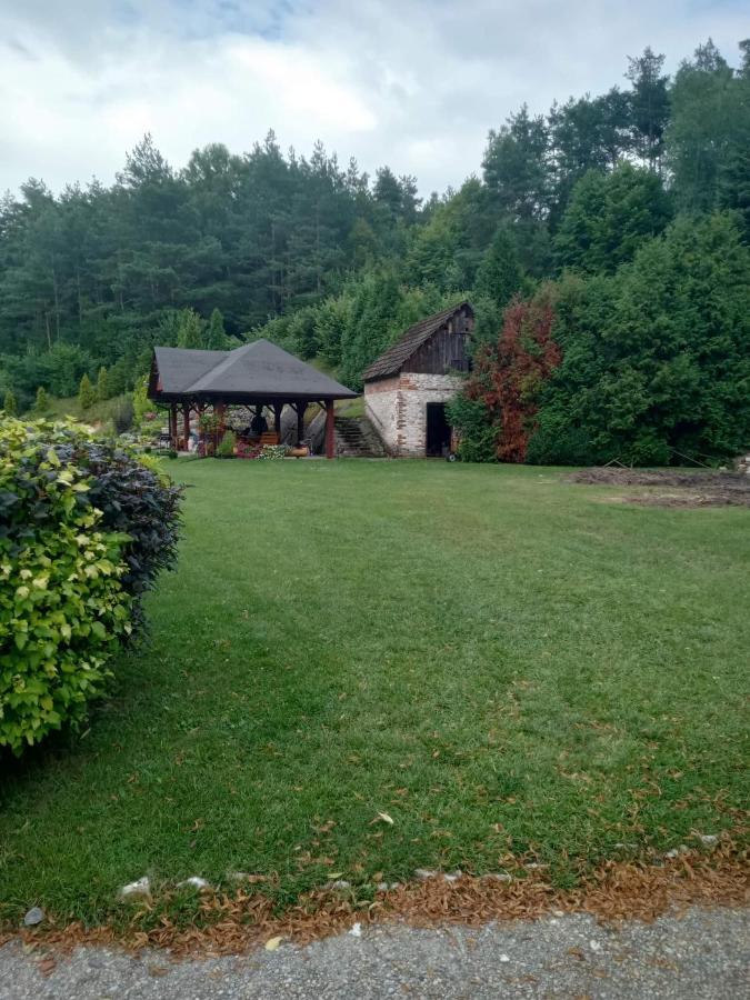 Apartment Lesna Ostoja Borek Golczowice
