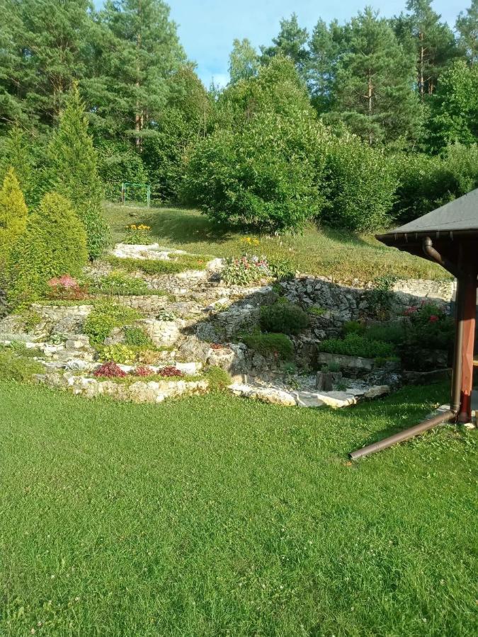 Lesna Ostoja Borek Apartment