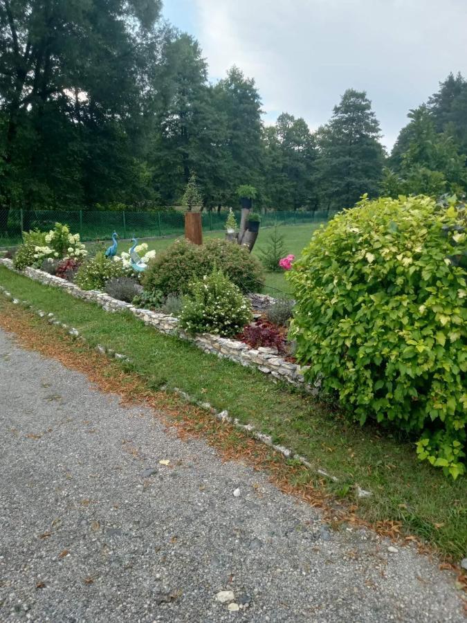 Apartment Lesna Ostoja Borek
